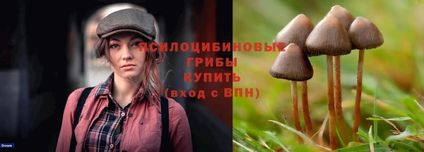 2c-b Баксан